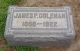 James P. Coleman Woodlawn Grave Marker.jpg
